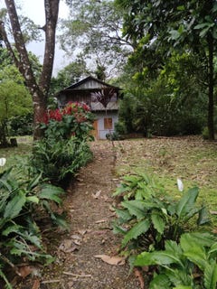 /international/cr/alajuela-upala-bijagua-centro-de-bijagua-propiedad-de-9543-m2-con-cabanas-para-alquiler-upala-alajuela-upala-alajuela-province-310105749833/