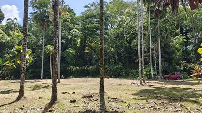 /international/cr/id-949-1-547-sqm-build-ready-lot-near-cahuita-and-playa-grande-puerto-viejo-limon-province-310108160052/