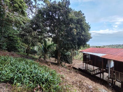 /international/cr/alajuela-upala-bijagua-buena-vista-la-ceiba-una-hora-y-media-del-aeropuerto-internacional-daniel-oduber-upala-alajuela-upala-alajuela-province-310105423190/