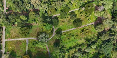 /international/cr/carbone-one-creekside-lots-in-hone-creek-hone-creek-limon-limon-310103536526/