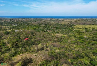 /international/cr/pura-jungla-26-27-28-veintisiete-de-abril-santa-cruz-guanacaste-santa-cruz-guanacaste-province-310099247762/