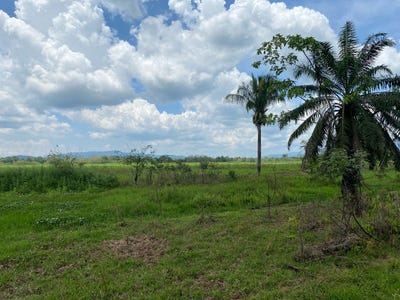 /international/cr/guaycara-golfito-puntarenas-puntarenas-puntarenas-puntarenas-310103140779/
