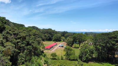 /international/cr/hatillo-de-savegre-puntarenas-costa-rica-savegre-puntarenas-savegre-puntarenas-310101419066/