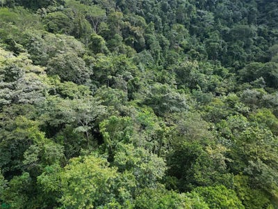 /international/cr/calle-san-antonio-de-damas-parrita-puntarenas-310108117487/