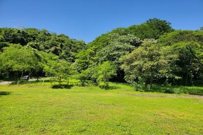 /international/cr/wf6c-7j-samara-guanacaste-province-310106459608/