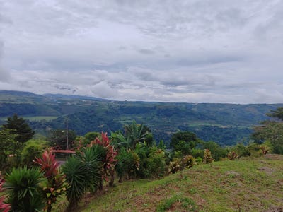 /international/cr/cartago-jimenez-tucurrique-que-mal-estamos-calle-torre-duan-del-cruce-de-la-entrada-a-san-miguel-de-tucurrique-2-km-al-norte-jimenez-cartago-jimenez-cartago-province-310103008710/