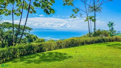 /international/cr/1-s-n-puerto-cortes-osa-puntarenas-osa-puntarenas-310101285174/?lang=zh-cn