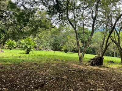 /international/cr/propiedad-para-inversion-sabana-larga-atenas-investment-property-sabana-larga-alajuela-province-310103211447/
