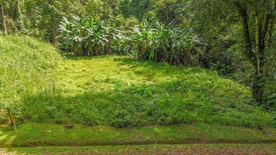 /international/cr/puntarenas-ojochal-phase-6-lot-i-i-ojochal-puntarenas-ojochal-puntarenas-province-310102704858/