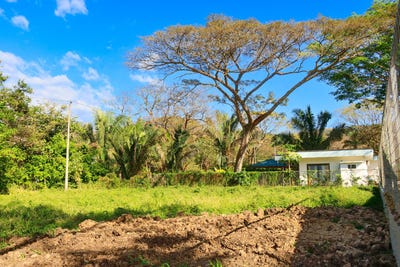 /international/cr/x86v-62-guanacaste-province-nosara-costa-rica-nicoya-guanacaste-province-120088468691/