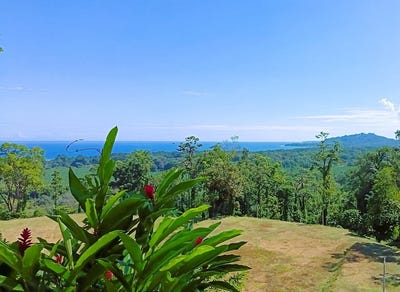 /international/cr/id-4193-ocean-view-residential-lot-for-sale-near-puerto-viejo-caribbean-costa-rica-puerto-viejo-limon-province-310108895737/