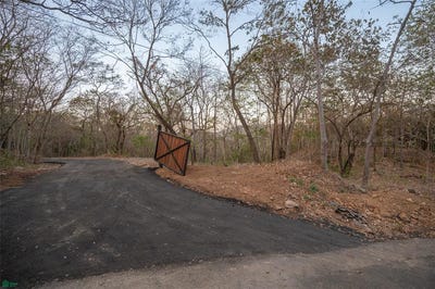 /international/cr/lot-9-palo-vista-tamarindo-guanacaste-province-310107413548/