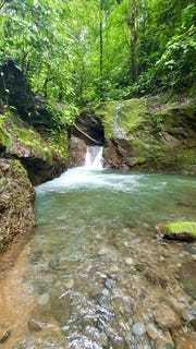 /international/cr/finca-de-bosque-la-tigre-san-carlos-alajuela-san-carlos-alajuela-province-310098353900/