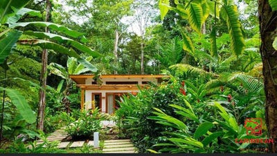 /international/cr/puerto-viejo-de-talamanca-puerto-viejo-de-talamanca-limon-province-310107738084/
