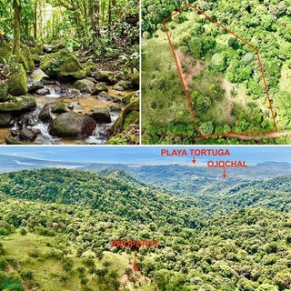 /international/cr/ojochal-puerto-cortes-osa-puntarenas-osa-puntarenas-310106247117/