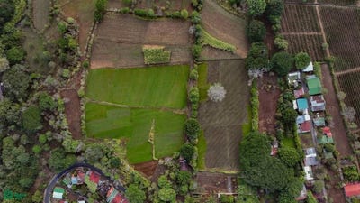 /international/cr/flat-land-for-sale-near-international-airport-san-isidro-central-alajuela-alajuela-province-310093215234/?lang=zh-tw