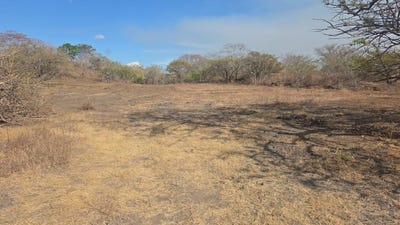 /international/cr/huge-commercial-property-near-liberia-airport-guanacaste-costa-rica-guardia-guanacaste-province-310108160051/