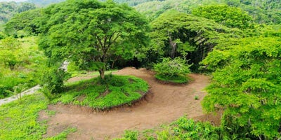 /international/cr/jungle-view-lot-at-cabuya-cabuya-puntarenas-puntarenas-310102963211/