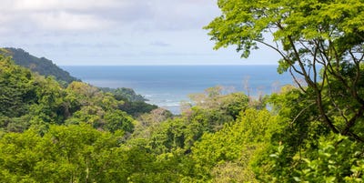 /international/cr/a-mountain-retreat-with-ocean-jungle-views-san-isidro-santa-teresa-alajuela-province-310108320245/