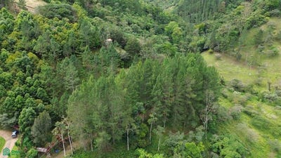 /international/cr/dulce-nombre-tayutic-turrialba-cartago-turrialba-cartago-province-310105815399/