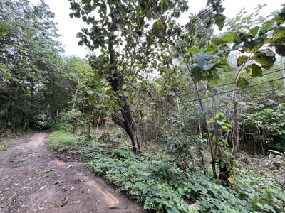 /international/cr/quepos-playa-linda-playa-matapalo-savegre-de-quepos-puntarenas-savegre-de-quepos-puntarenas-120095882144/
