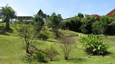 /international/cr/san-isidro-san-isidro-puntarenas-310100934219/?lang=zh-cn
