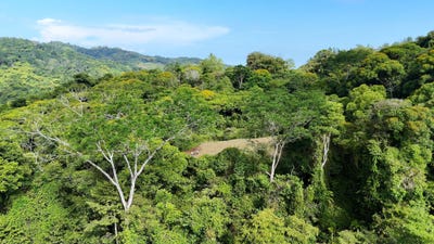 /international/cr/san-salvador-de-baru-perez-zeledon-san-jose-perez-zeledon-san-jose-310099092244/