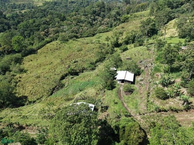 /international/cr/guayabo-turrialba-turrialba-cartago-turrialba-cartago-province-310106136577/