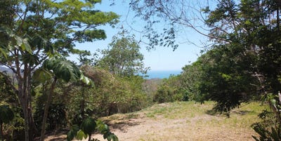 /international/cr/private-oceanview-land-opportunity-in-brisas-del-cabo-santa-teresa-cobano-puntarenas-310107739939/