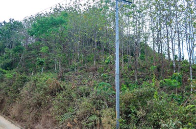 /international/cr/unnamed-road-nicoya-guanacaste-province-310098809320/