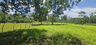 /international/cr/zonafluca-san-carlos-la-fortuna-alajuela-san-carlos-la-fortuna-alajuela-province-310101999360/