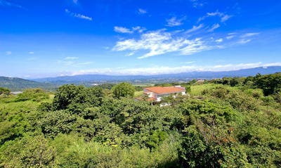 /international/cr/brasil-del-mora-san-jose-costa-rica-mora-san-jose-mora-san-jose-310102069115/