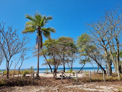 /international/cr/santa-teresa-santa-teresa-puntarenas-santa-teresa-puntarenas-120076651745/