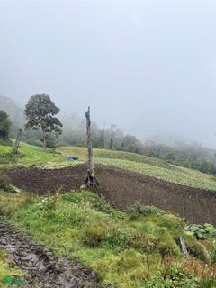 /international/cr/las-virtudes-santa-cruz-turrialba-cartago-turrialba-cartago-province-310105922001/