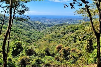 /international/cr/samara-hill-estates-77-acre-ocean-view-finca-playa-samara-guanacaste-province-120090717662/?lang=zh-tw