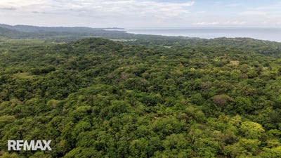 /international/cr/ostional-ostional-guanacaste-ostional-guanacaste-province-310108595108/