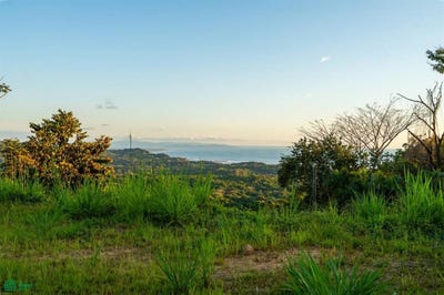 /international/cr/phase-5-puerto-cortes-osa-puntarenas-osa-puntarenas-310106357924/
