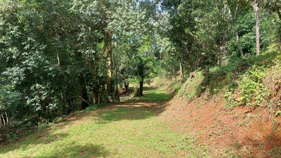 /international/cr/350-metros-sur-oeste-de-la-parroquia-de-platanillo-baru-de-perez-zeledon-perez-zeledon-san-jose-perez-zeledon-san-jose-310107449254/