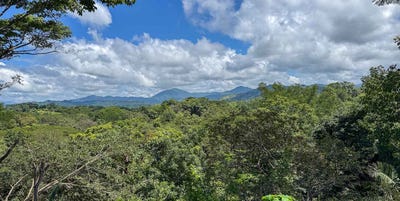 /international/cr/jungle-and-mountain-views-lots-in-betel-manzanillo-betel-manzanillo-santa-teresa-alajuela-province-310105419254/