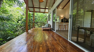 /international/cr/jungle-retreat-sanctuary-platanillo-san-jose-310099314193/