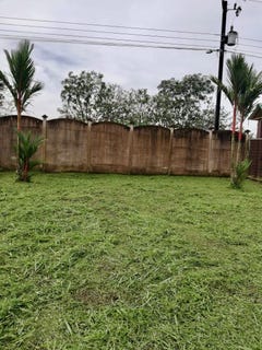 /international/cr/la-fortuna-de-san-carlos-san-carlos-la-fortuna-alajuela-san-carlos-la-fortuna-alajuela-province-310101328003/?lang=es