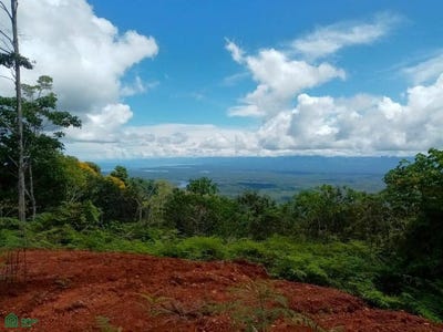 /international/cr/sierpe-osa-puntarenas-osa-puntarenas-310097800219/