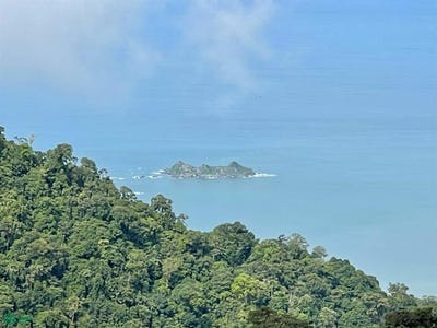 /international/cr/bahia-ballena-osa-puntarenas-osa-puntarenas-310101566707/?lang=es