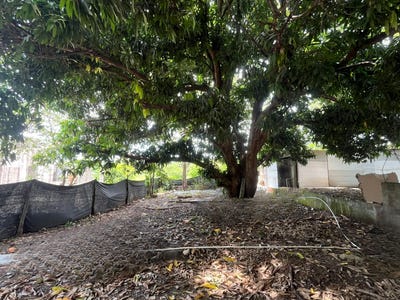 /international/cr/86p5-x6v-la-garita-nueva-provincia-de-guanacaste-la-garita-nueva-costa-rica-guanacaste-province-guanacaste-province-310108922367/