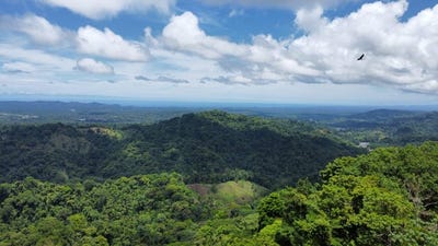 /international/cr/amazing-tropical-sunsets-30-ha-ocean-view-property-san-lorenzo-de-tarrazu-san-jose-310107974073/