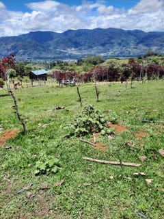 /international/cr/direccion-es-300-metros-este-de-antiguos-hogares-crea-birrisito-paraiso-cartago-paraiso-cartago-paraiso-cartago-province-310106691611/