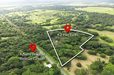 /international/cr/4-2-hectares-in-portegolpe-portegolpe-tamarindo-guanacaste-tamarindo-guanacaste-province-310101999355/