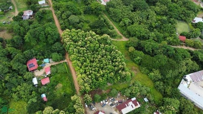 /international/cr/bosques-don-jose-s-n-nicoya-nicoya-guanacaste-nicoya-guanacaste-province-310101358070/?lang=pt