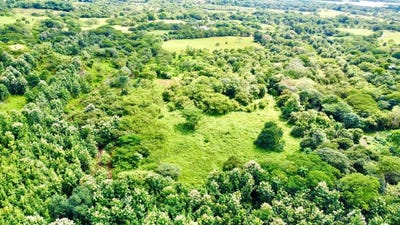 /international/cr/sardinal-sardinal-guanacaste-sardinal-guanacaste-province-120081450508/