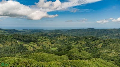 /international/cr/16-ha-ocean-view-finca-maquenco-belen-de-nosarita-nicoya-guanacaste-nicoya-guanacaste-province-310100287973/